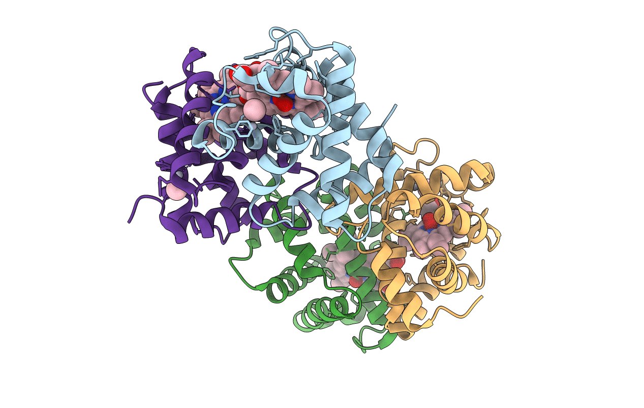 2D2N image