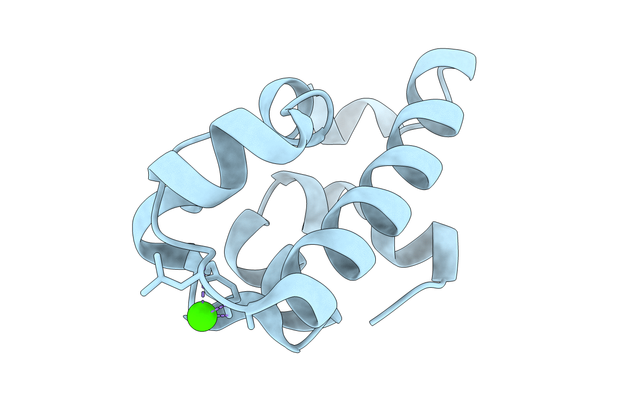 2D3D image