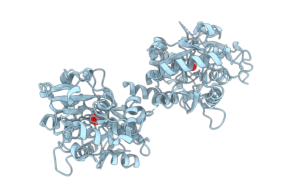 2D3I image