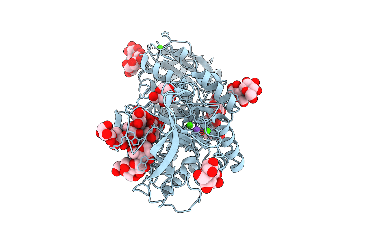 2D3N image