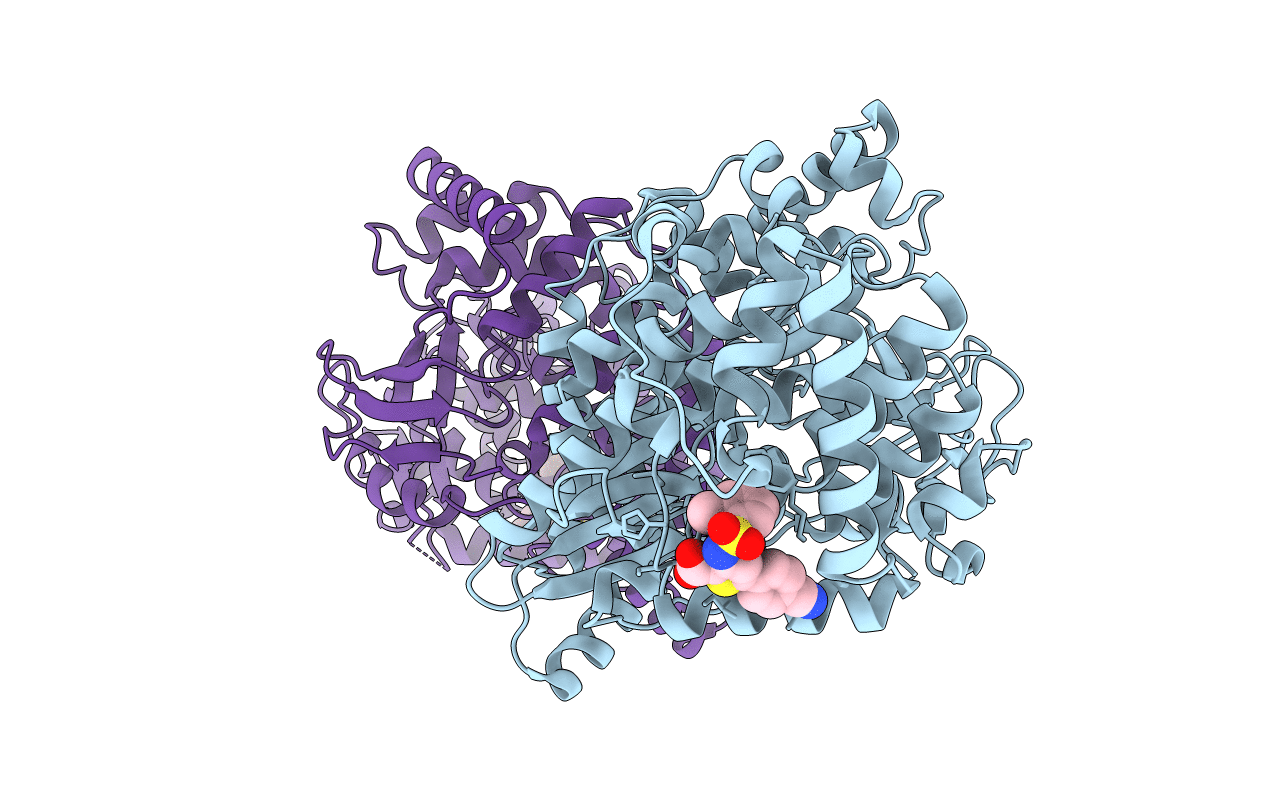 2D3U image