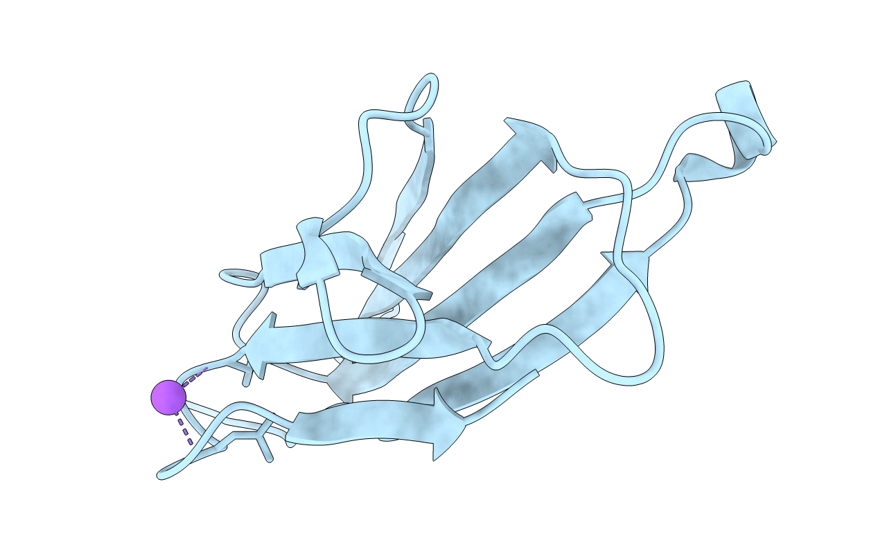 2D4D image