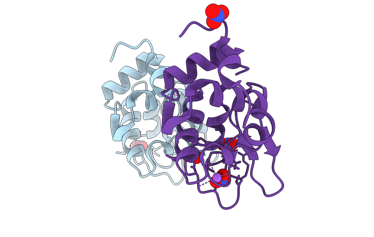 2D4I image