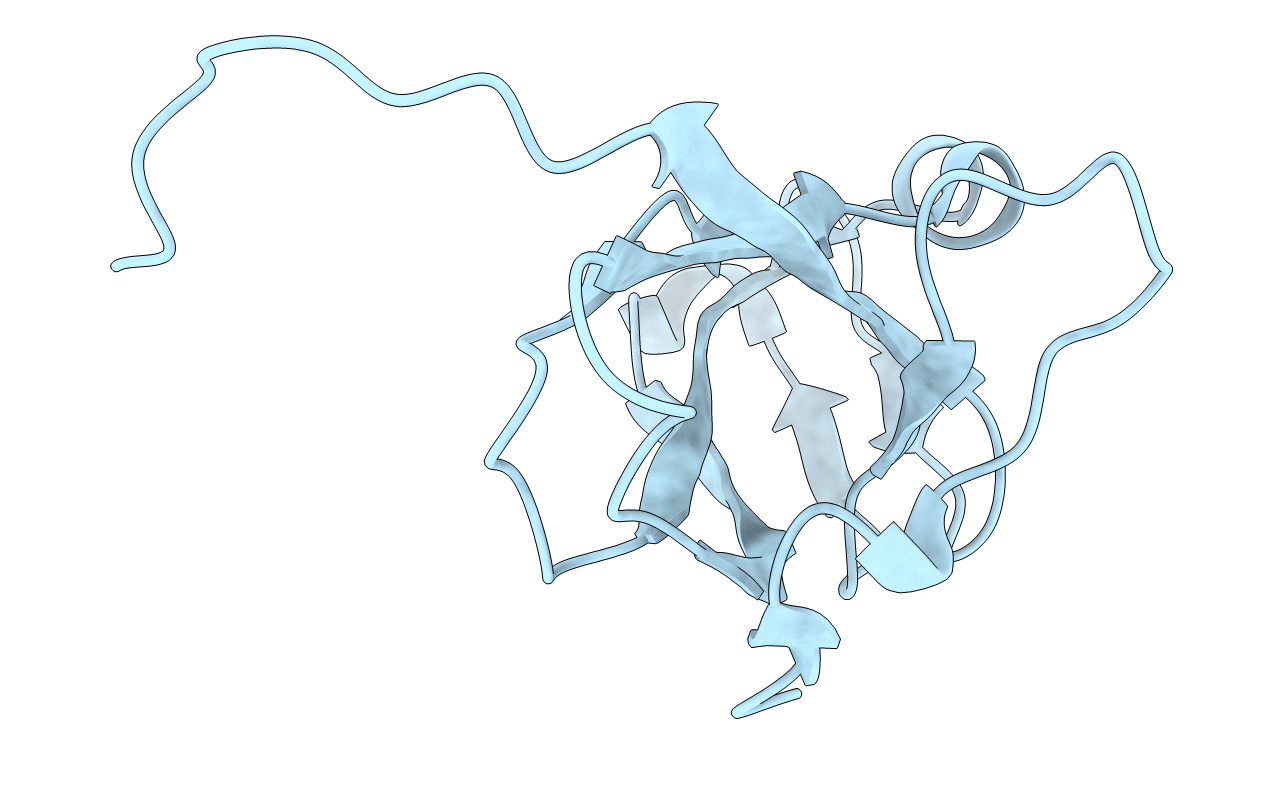 2D4L image