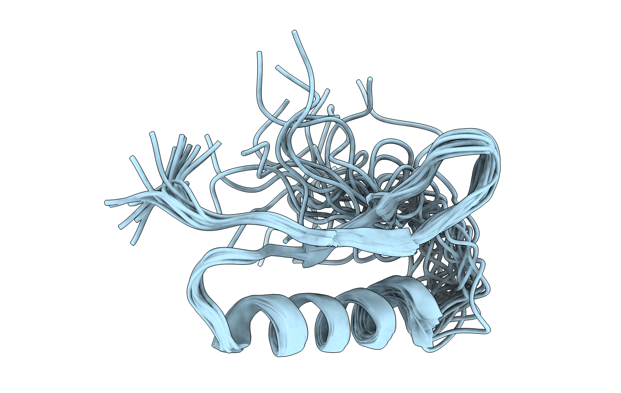 2D56 image