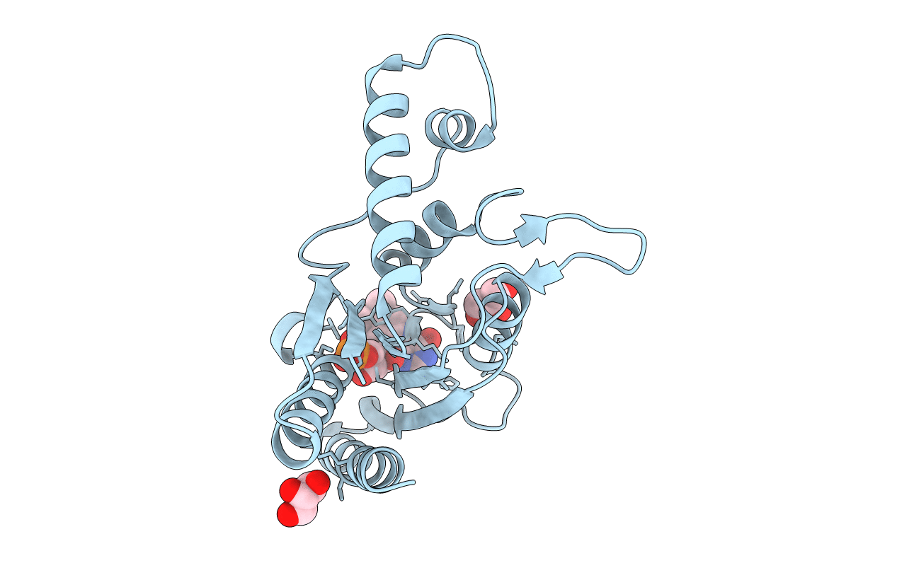 2D5I image