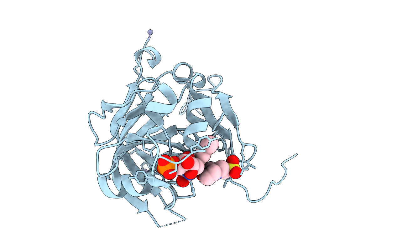 2D5M image