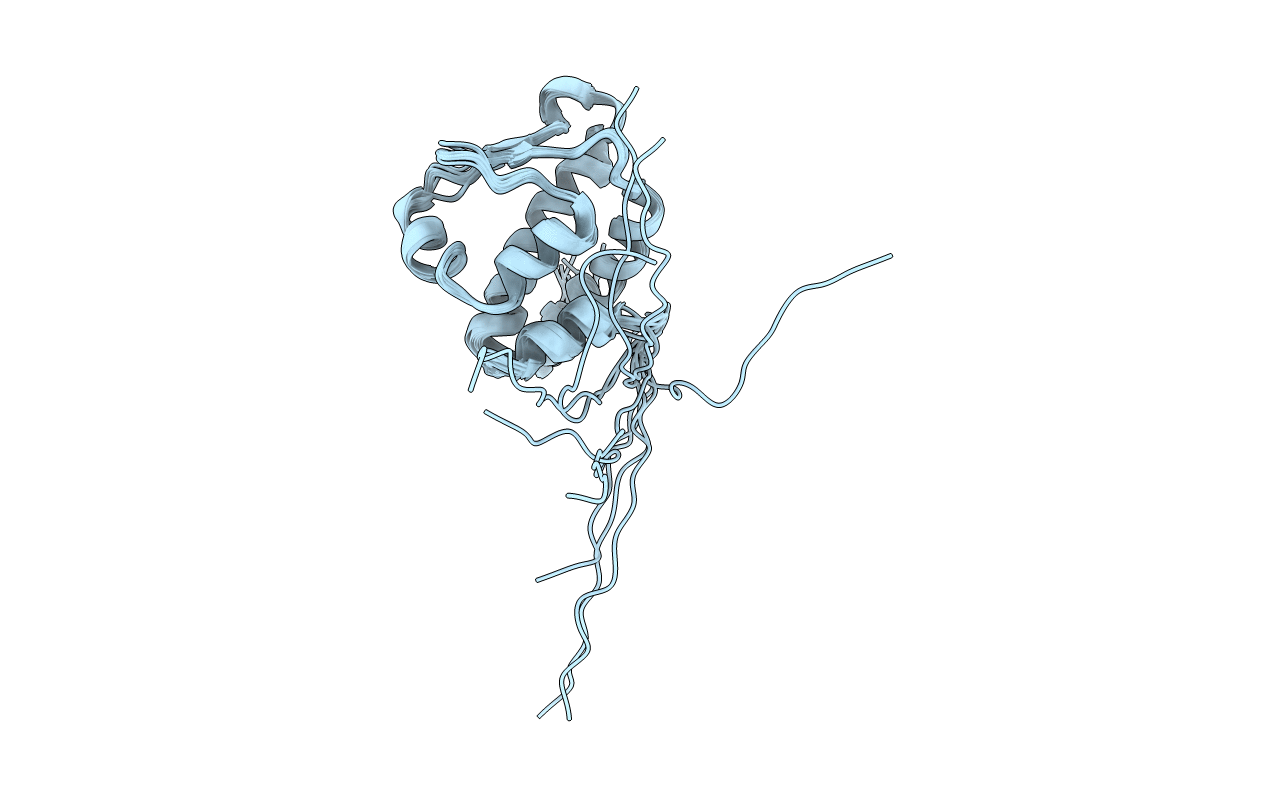 2D5U image