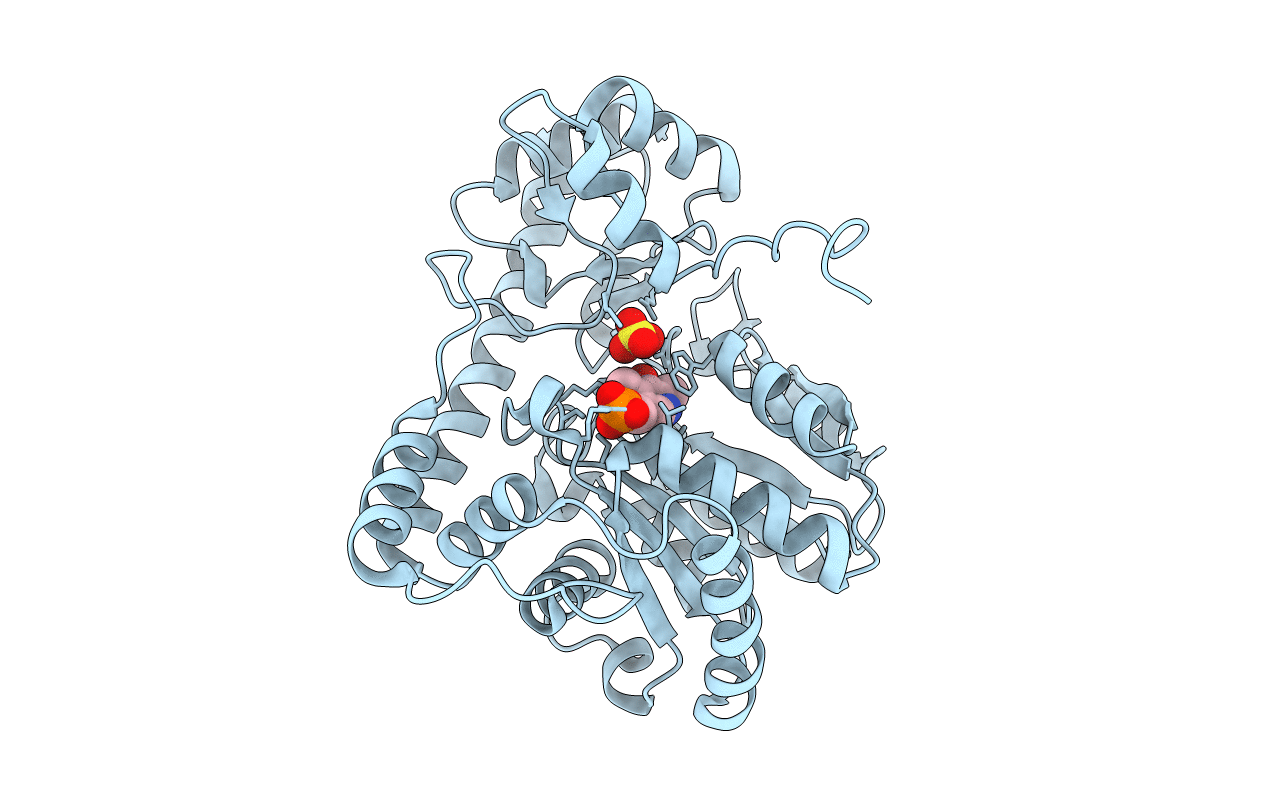 2D66 image