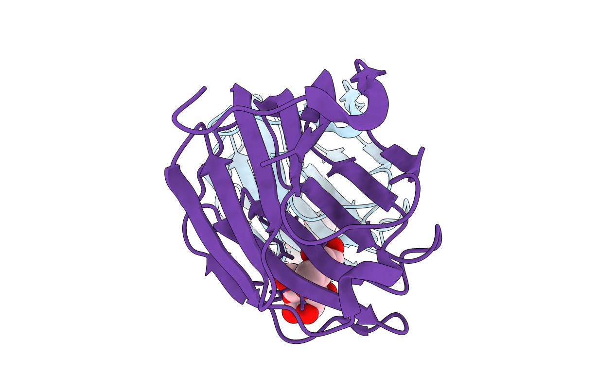 2D6M image