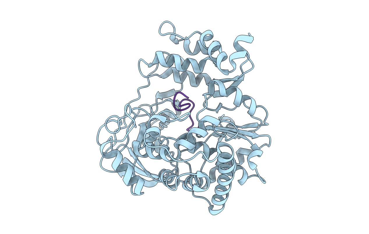 2D7S image