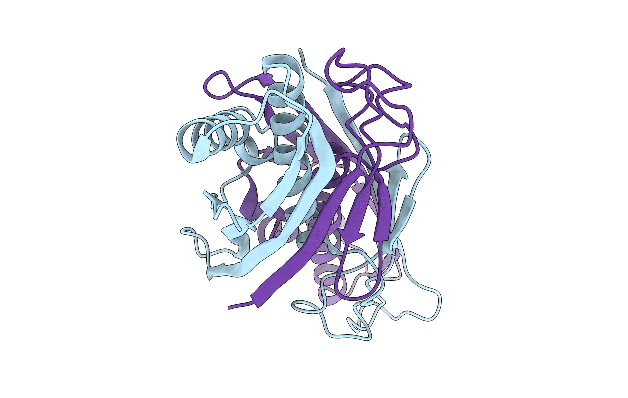 2D7V image