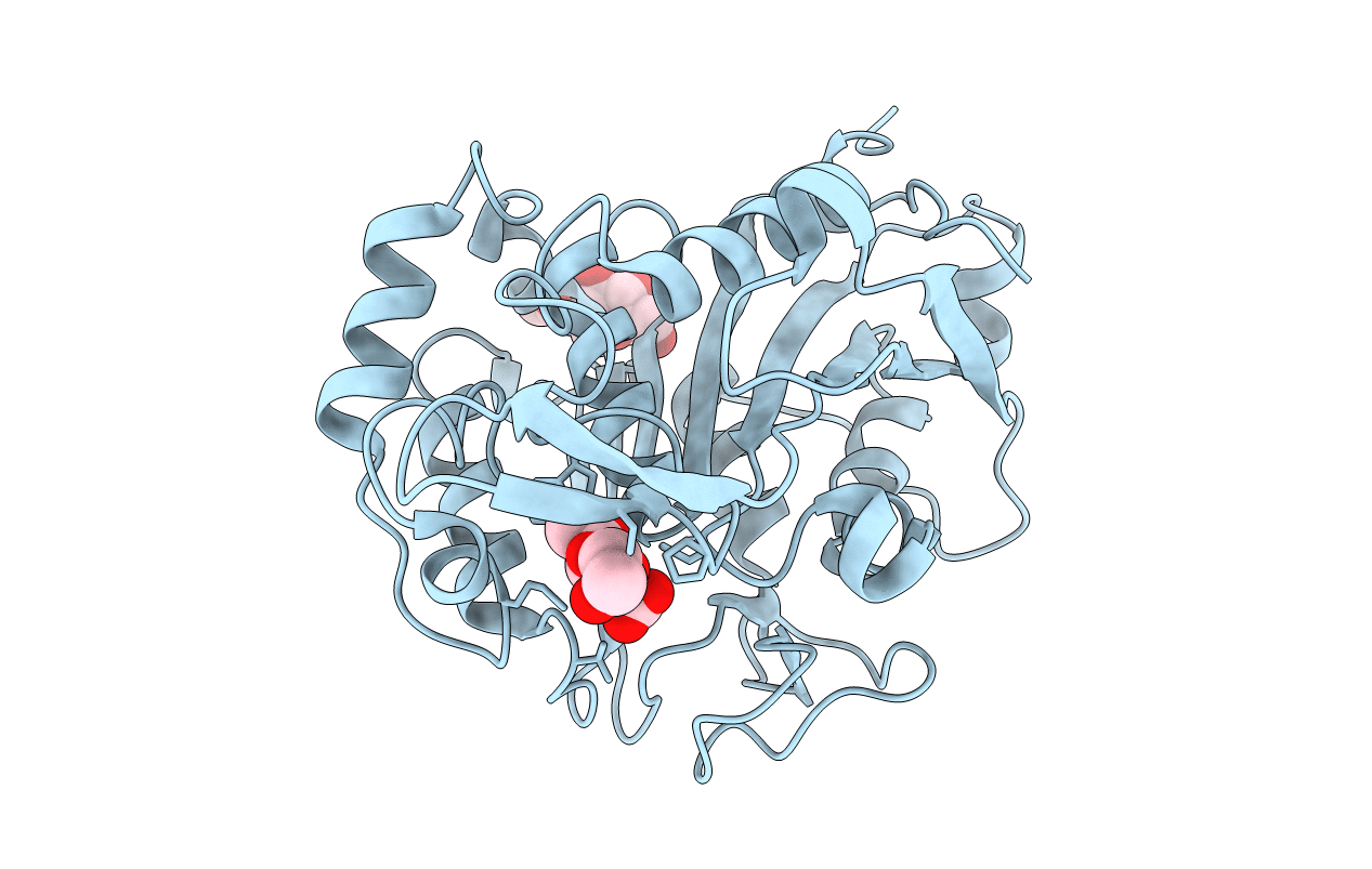 2D81 image