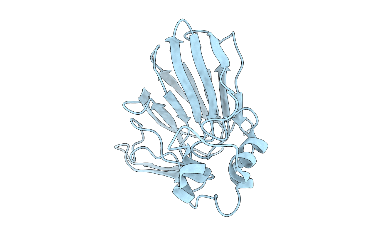 2D8O image
