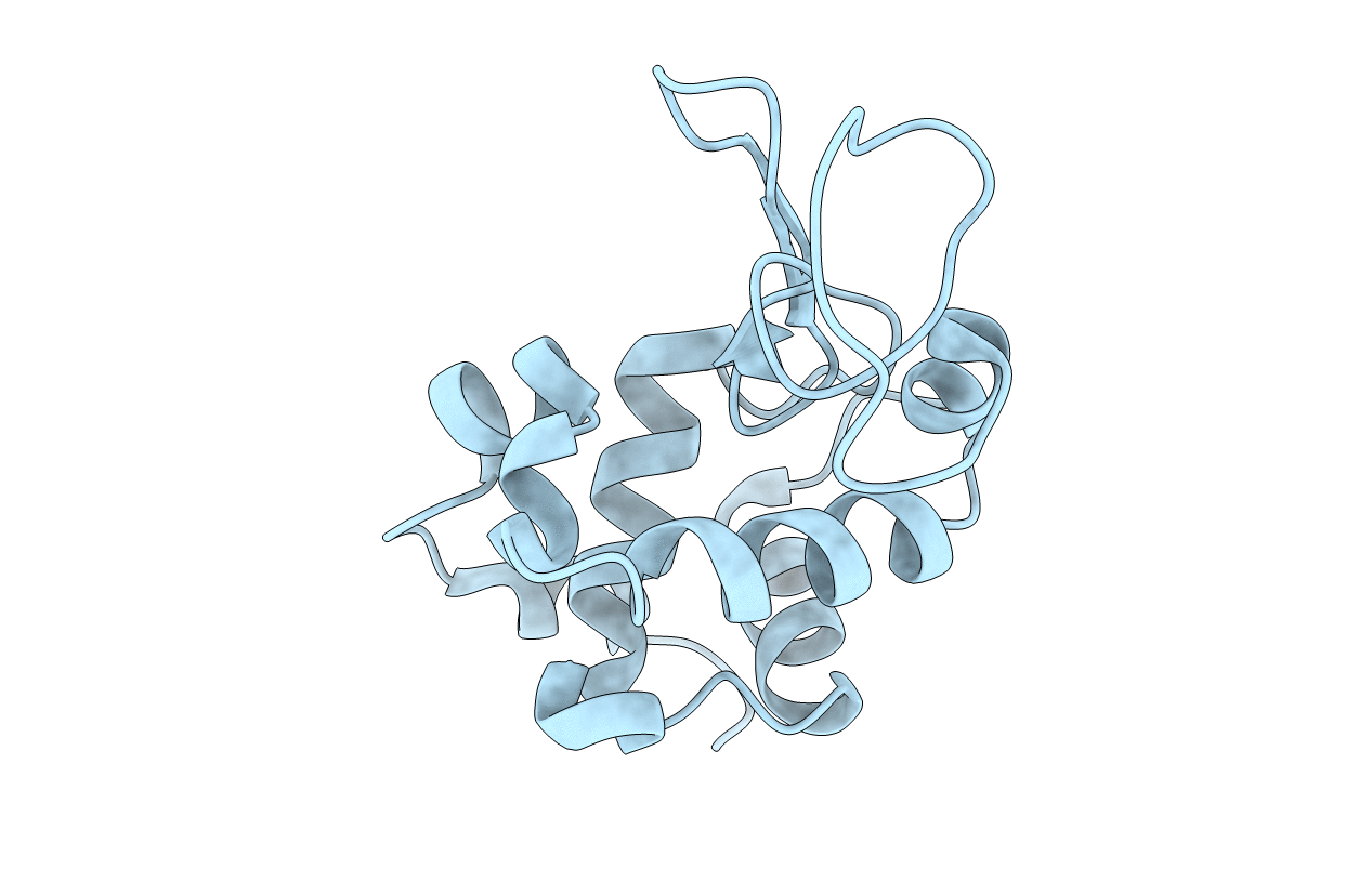 2D91 image