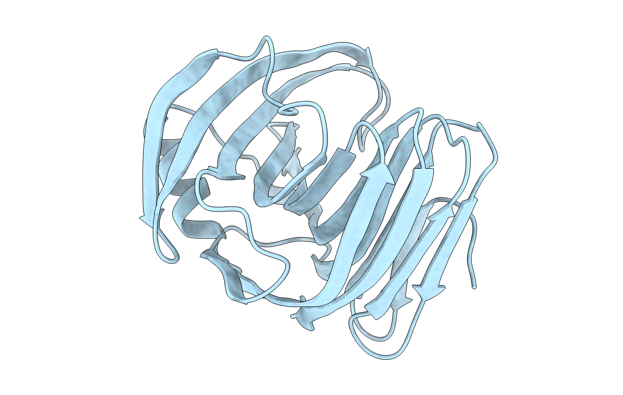 2D98 image