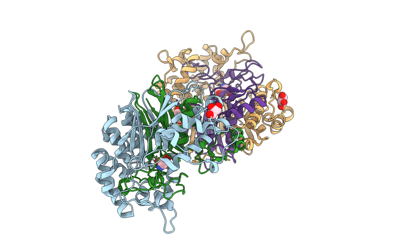 2DBW image