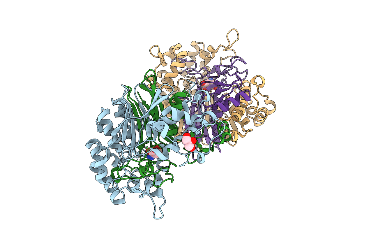 2DBX image