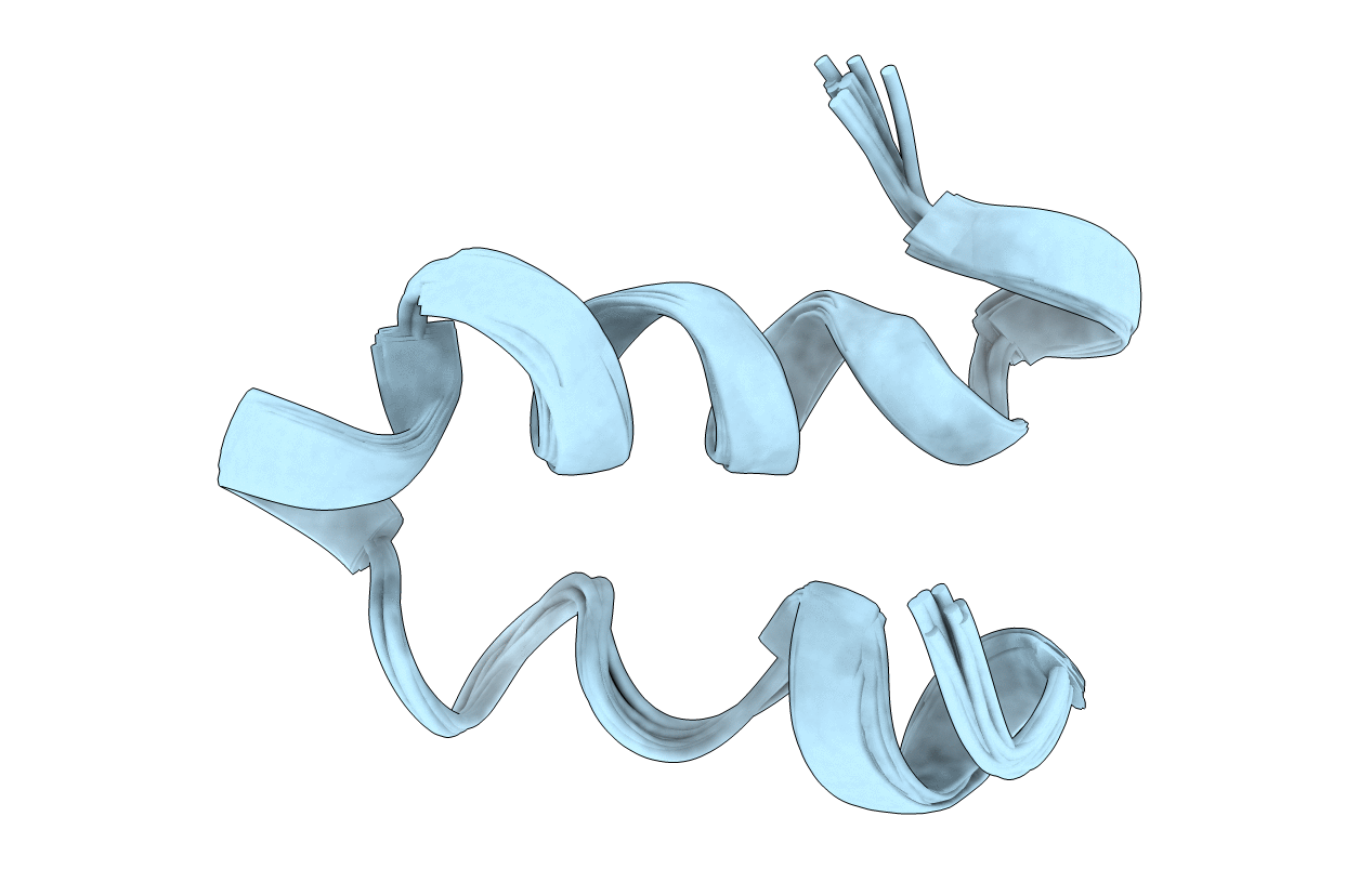 2DCO image