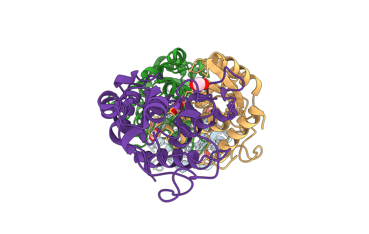 2DDA image