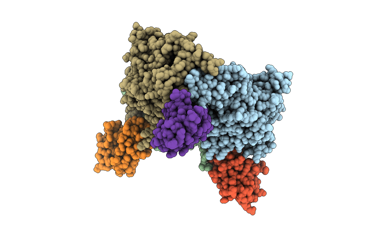 2DE5 image
