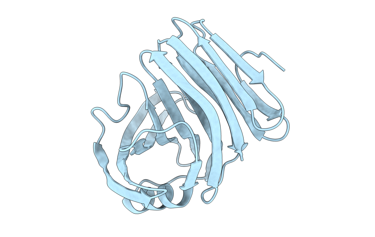 2DFC image