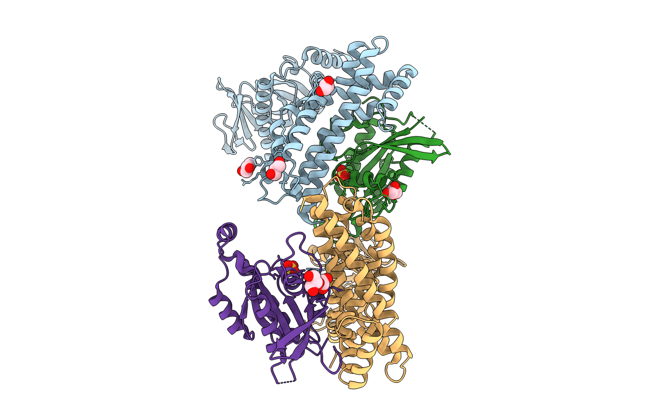 2DFK image