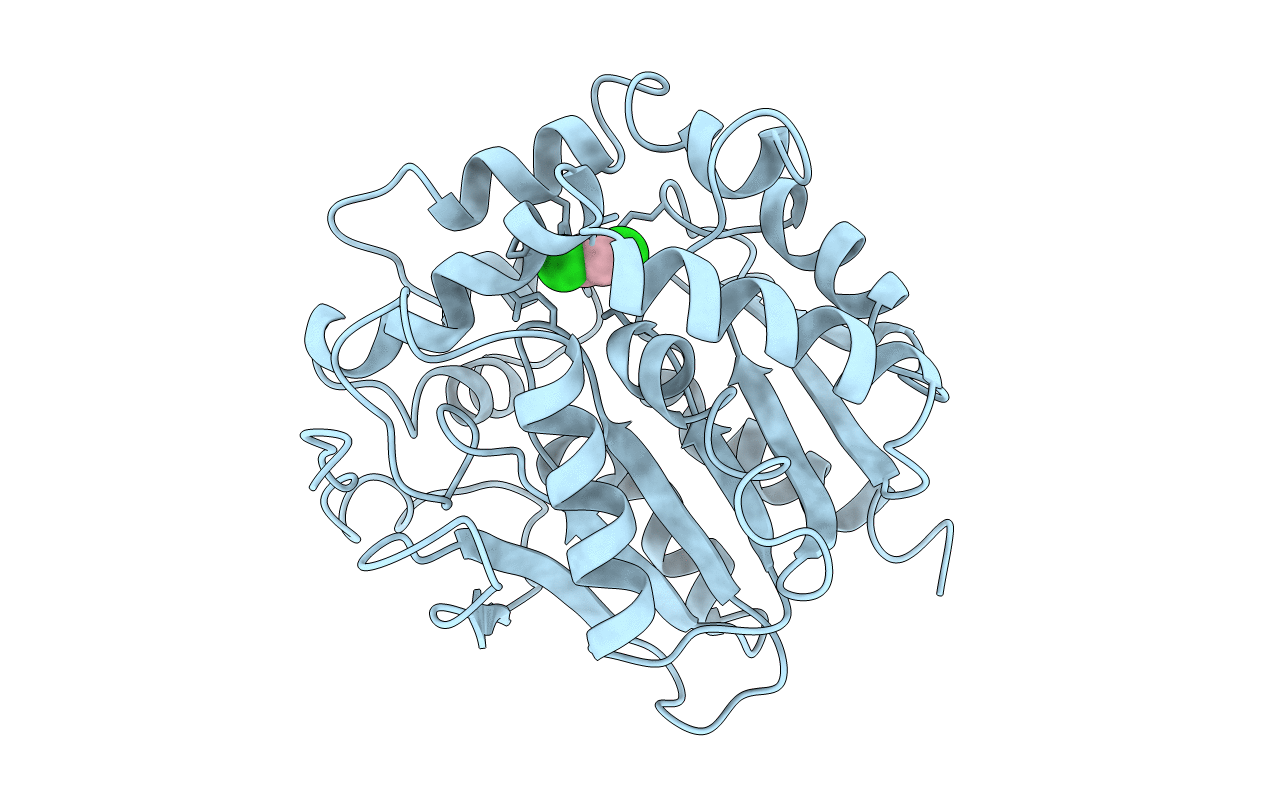 2DHC image