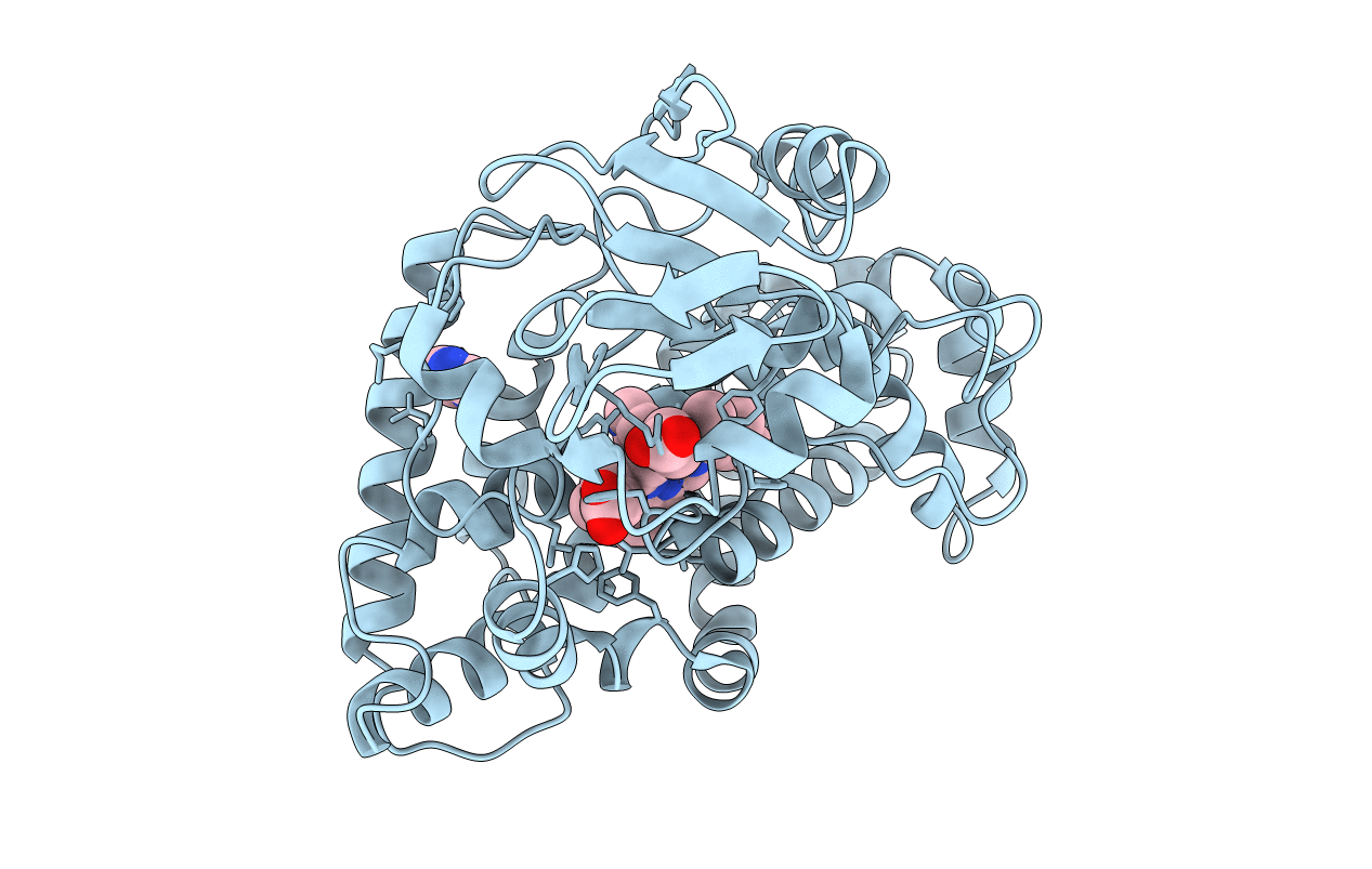 2DKK image