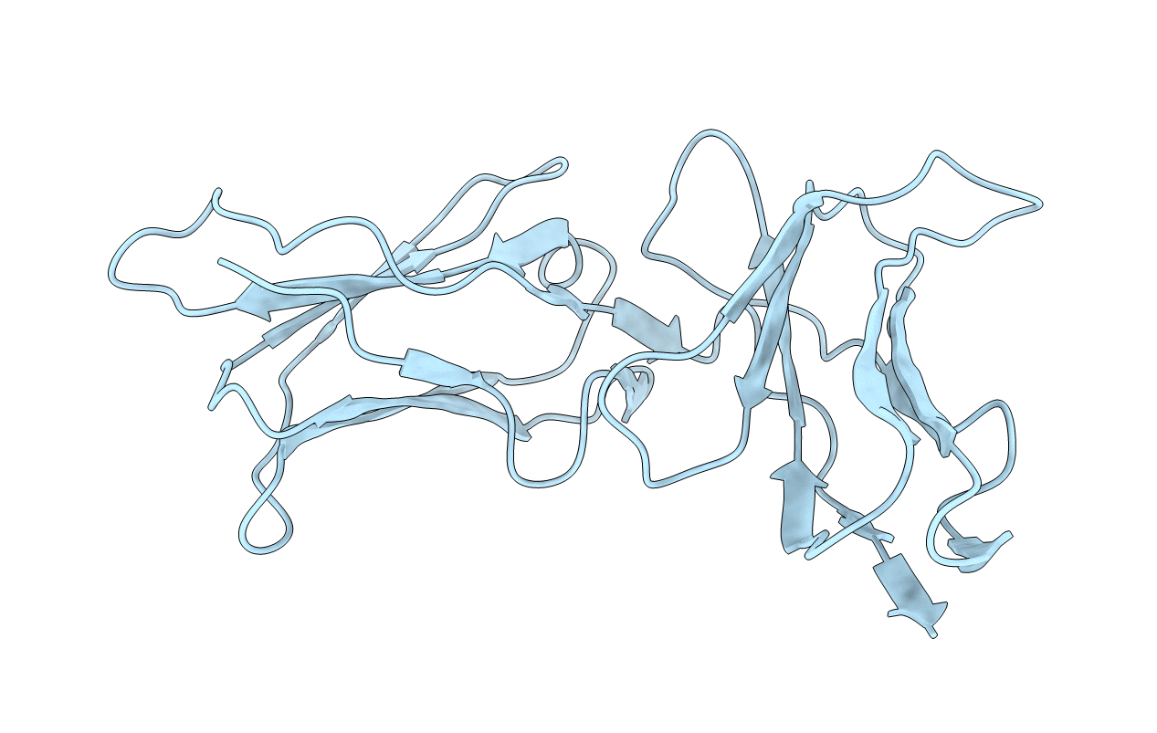 2DLI image