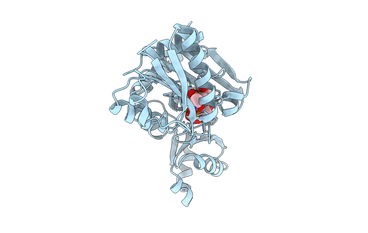 2DLN image