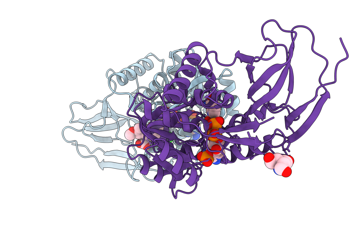 2DM6 image