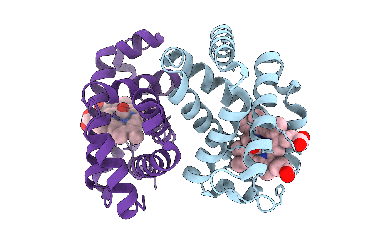 2DN3 image