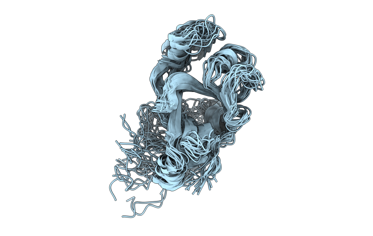 2DO8 image