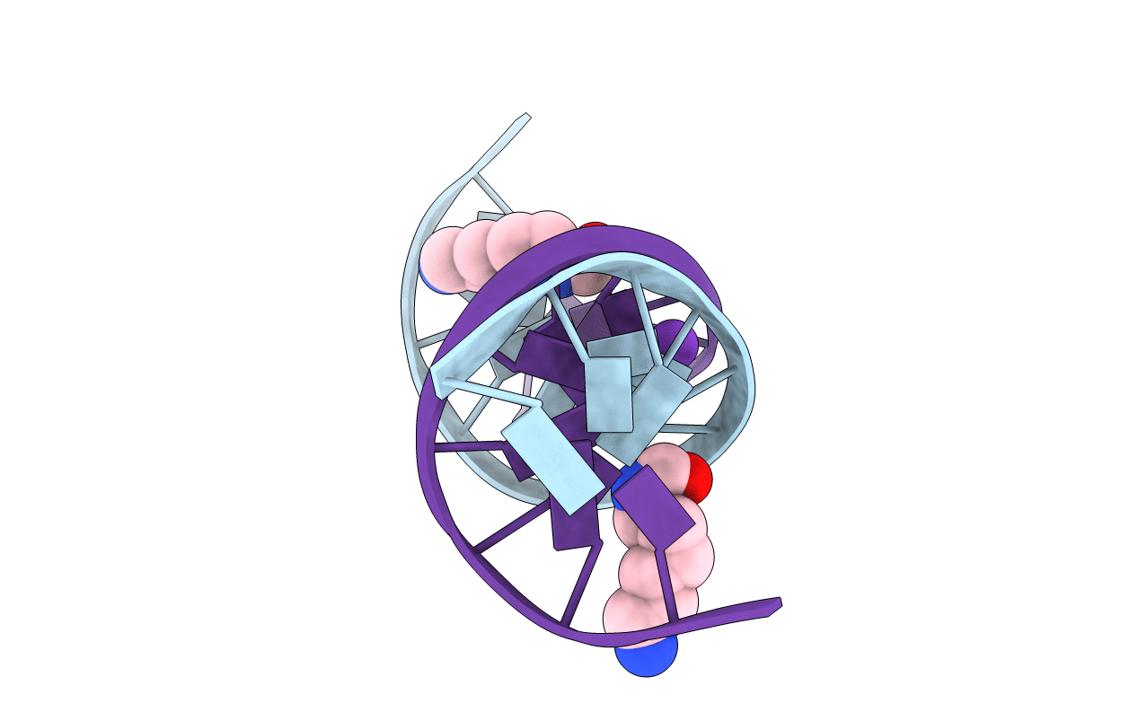 2DPB image