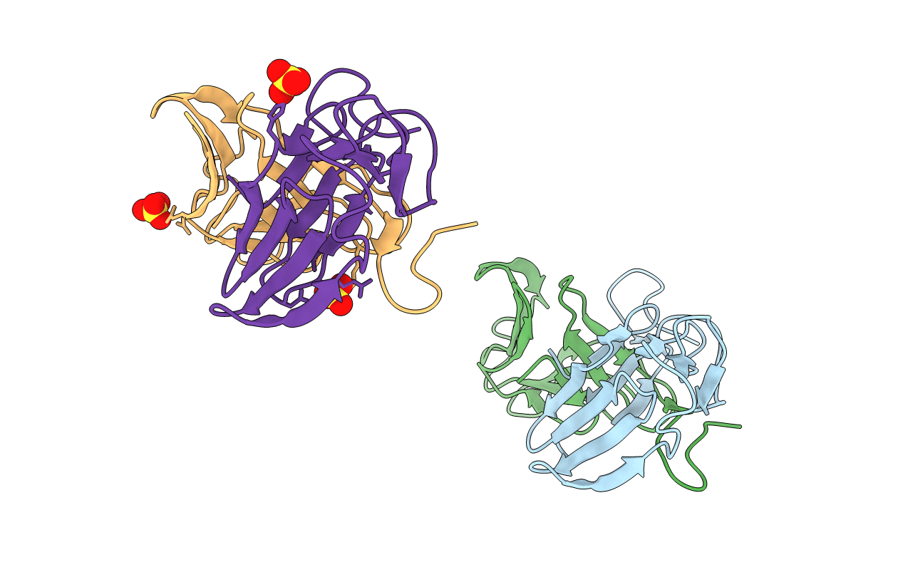 2DPF image