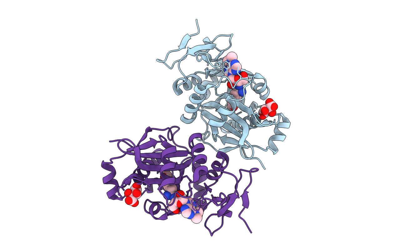 2DPT image