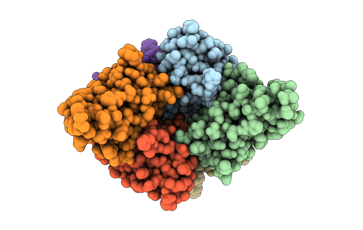 2DQF image