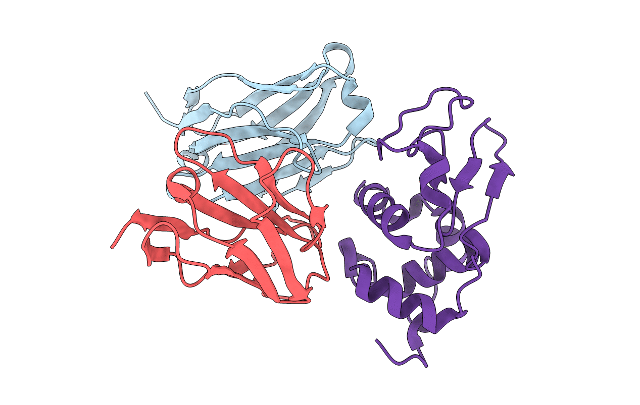 2DQI image