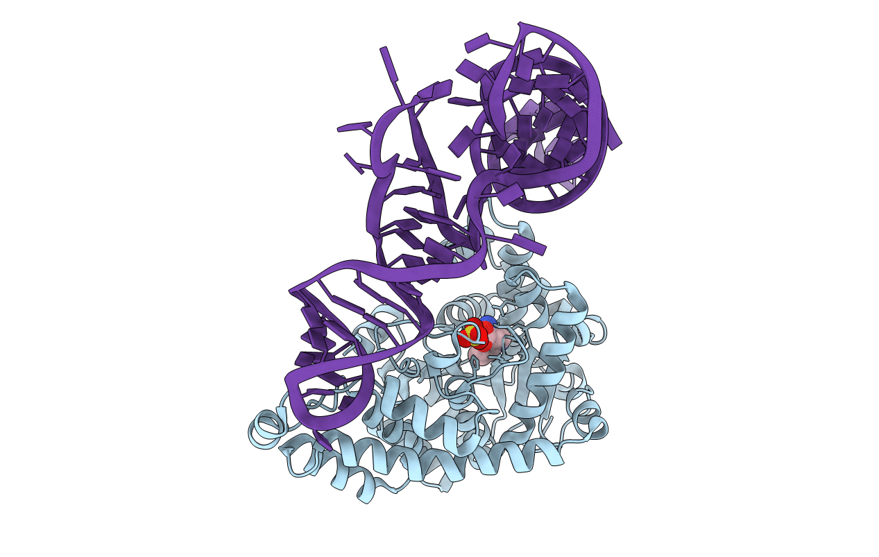 2DR2 image