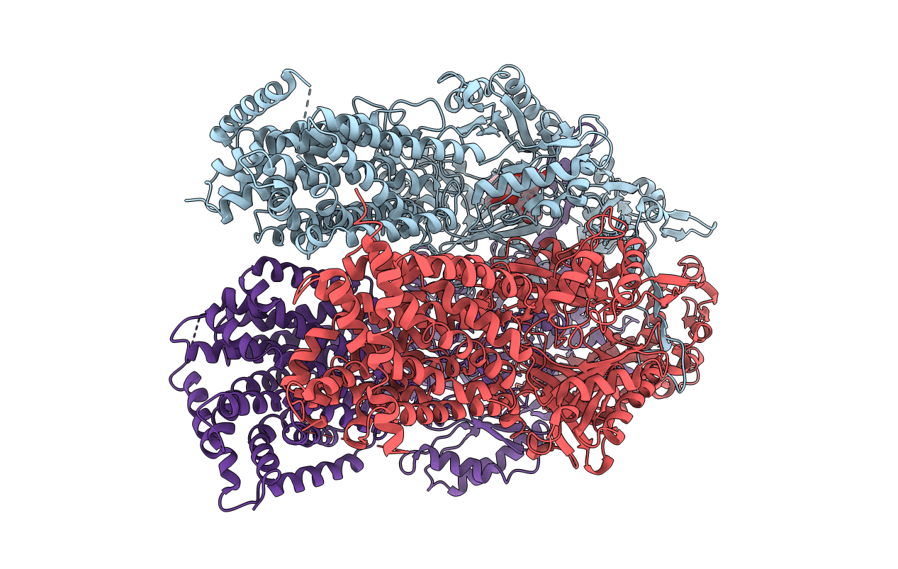 2DR6 image