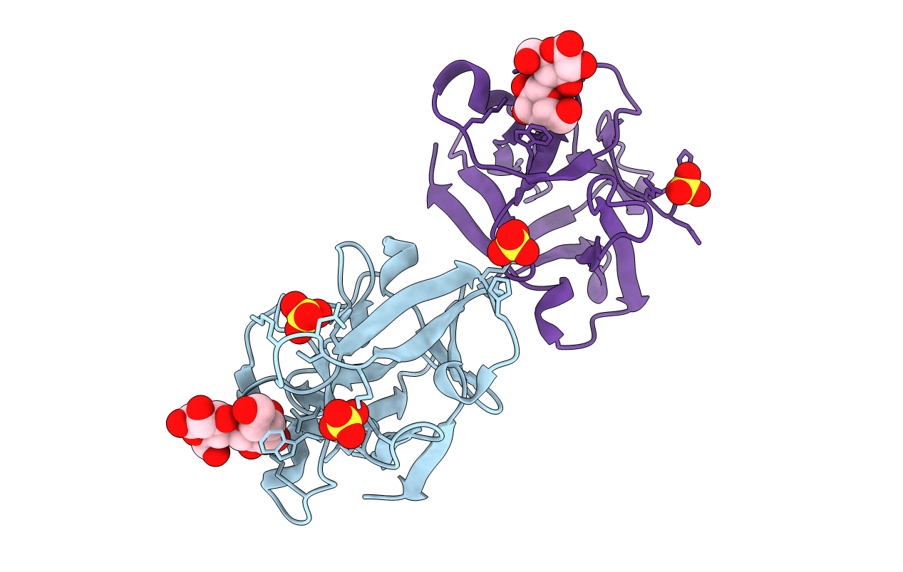 2DRZ image