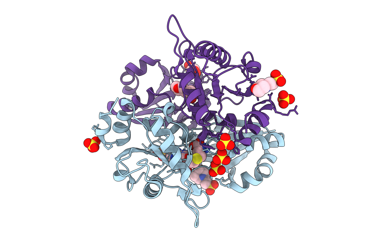 2DSG image