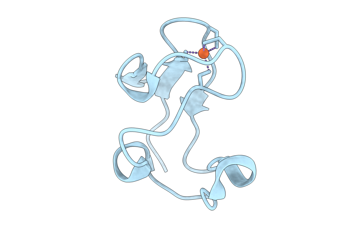 2DSX image