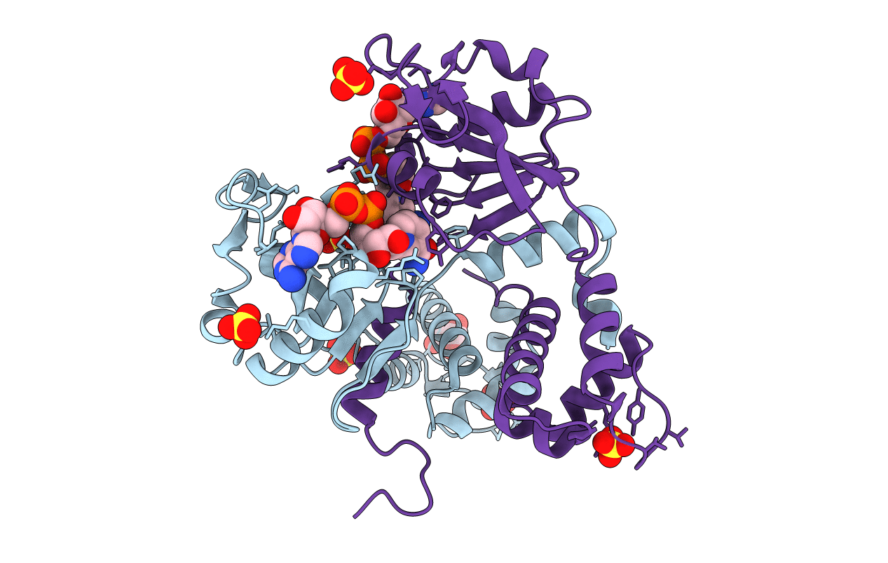 2dt5 image