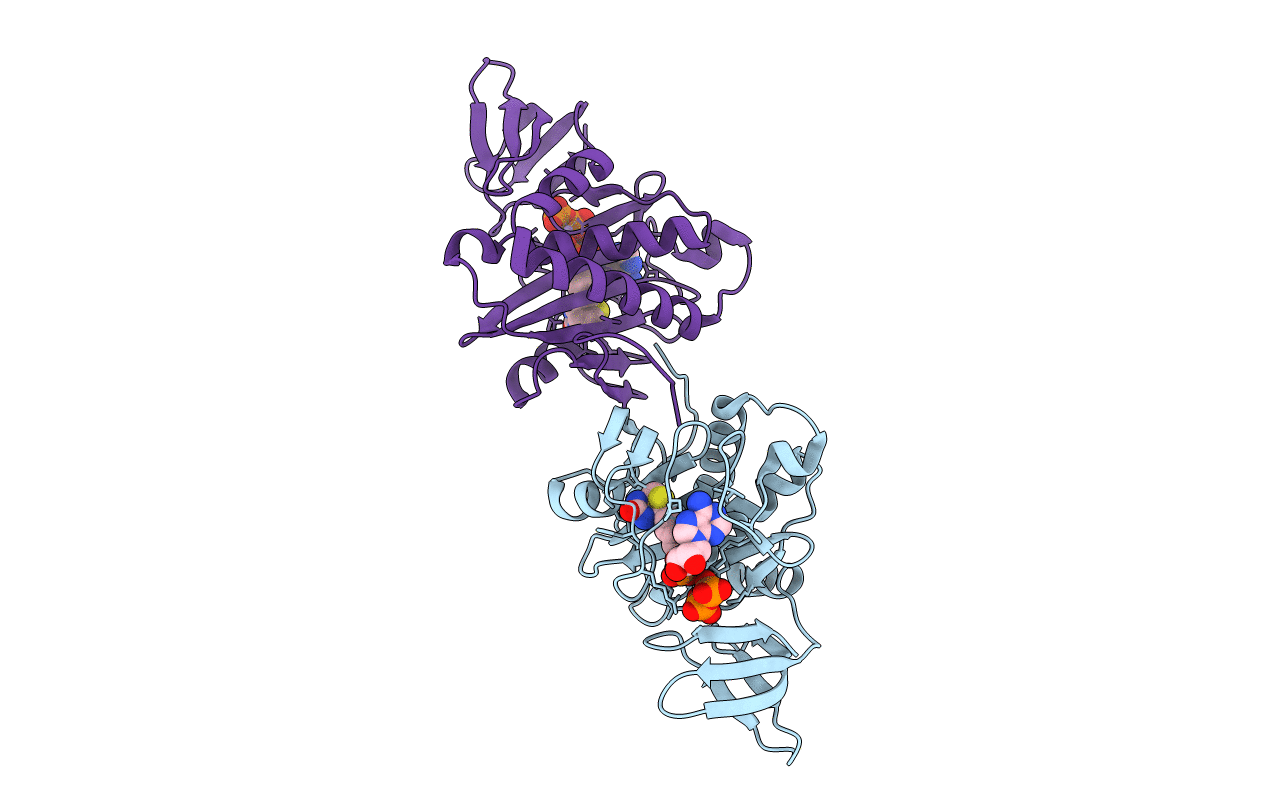2DTI image