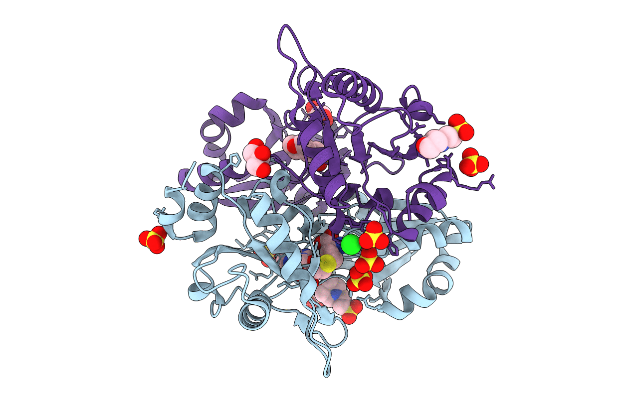 2DV4 image