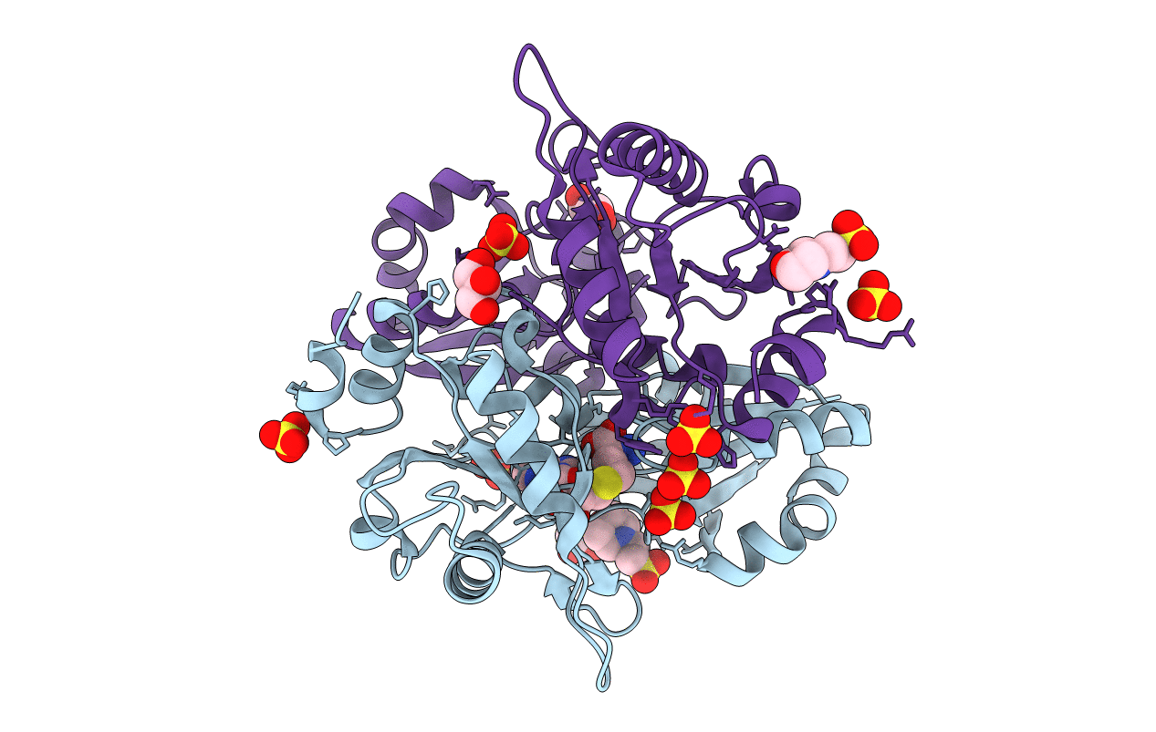 2DV5 image