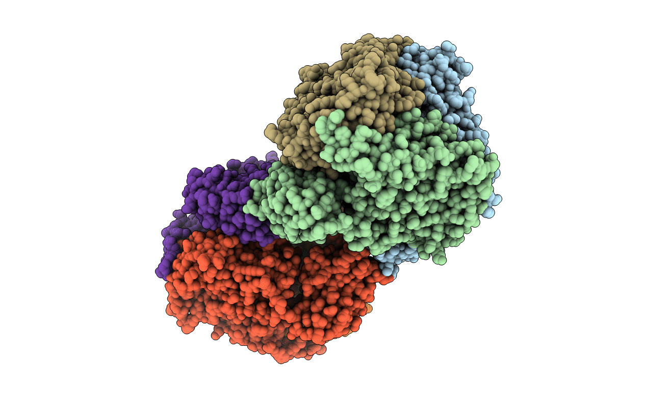 2DV6 image