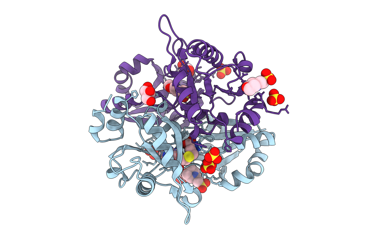 2DV7 image